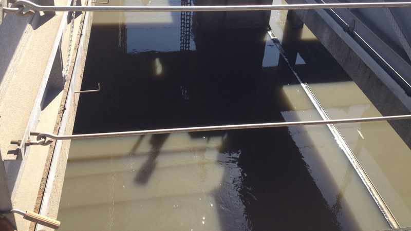 Illustration for article titled An Inside Tour of San Francisco's Sewage Treatment Plant